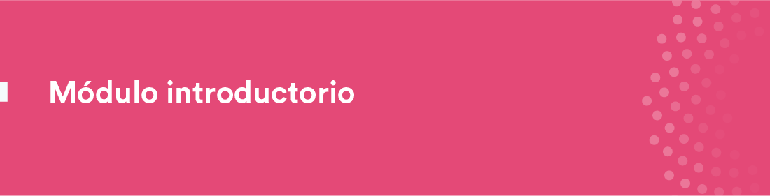 Módulo introductorio