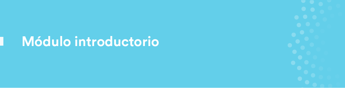 Módulo introductorio