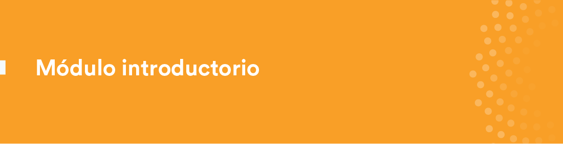 Módulo introductorio