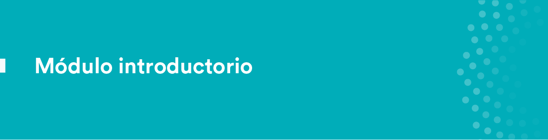 Módulo introductorio