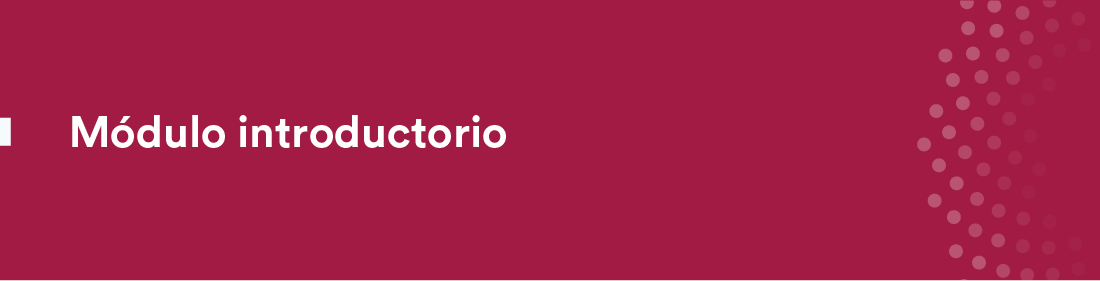 Módulo introductorio