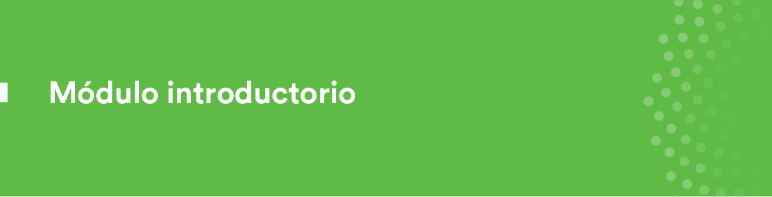 Módulo introductorio