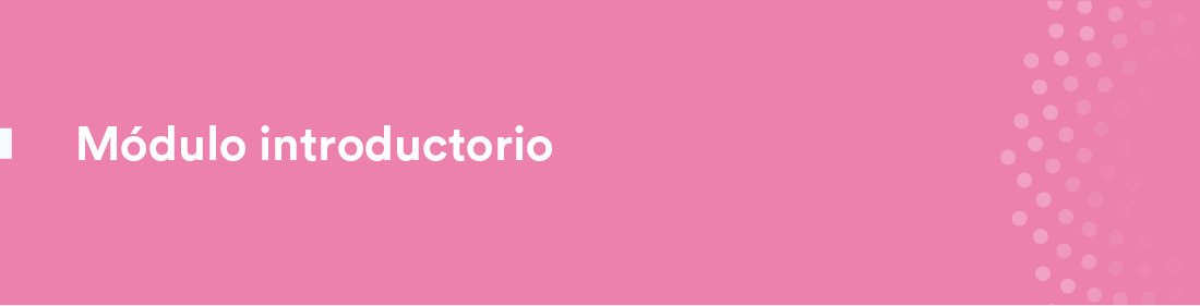 Módulo introductorio